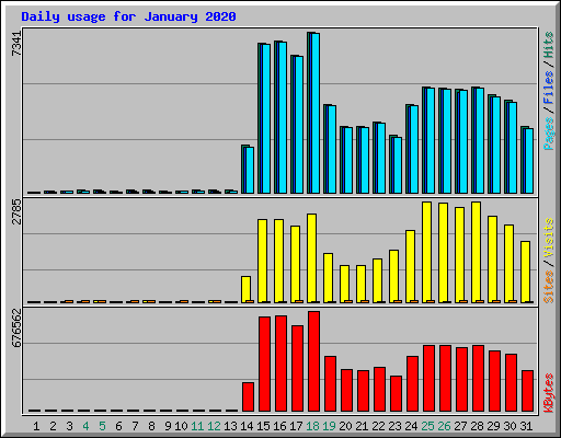 Daily usage for January 2020