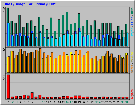 Daily usage for January 2021