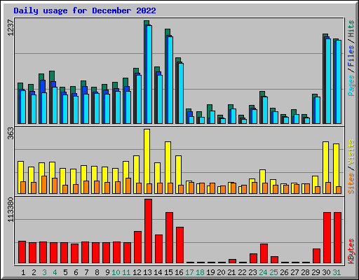 Daily usage for December 2022