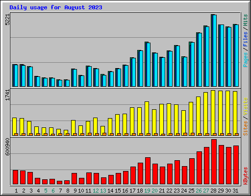 Daily usage for August 2023