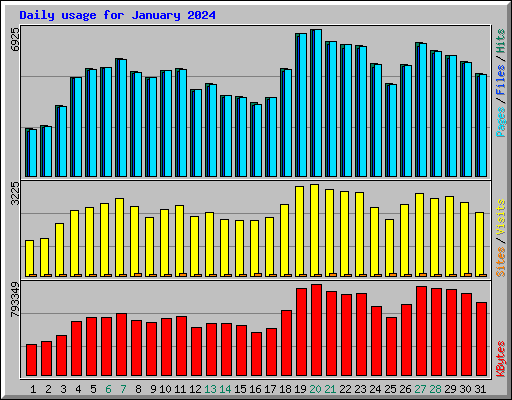 Daily usage for January 2024