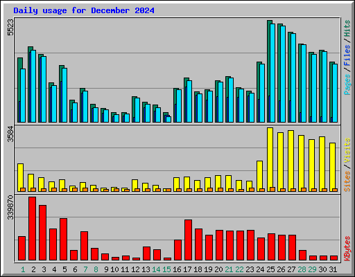Daily usage for December 2024