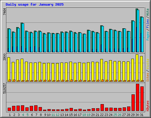Daily usage for January 2025