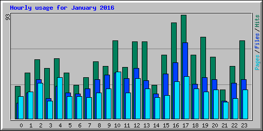 Hourly usage for January 2016