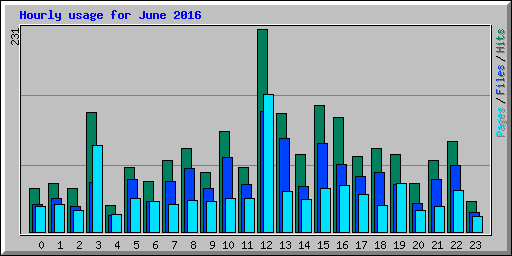 Hourly usage for June 2016
