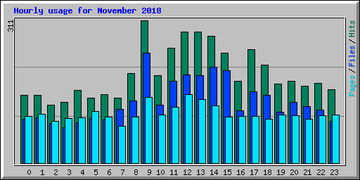 Hourly usage for November 2018