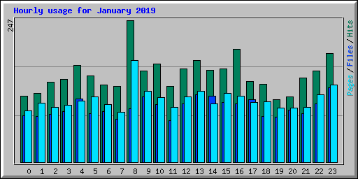 Hourly usage for January 2019