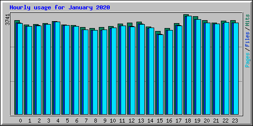 Hourly usage for January 2020