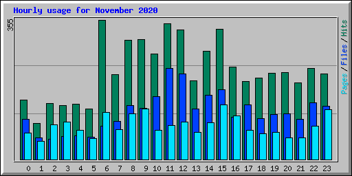 Hourly usage for November 2020