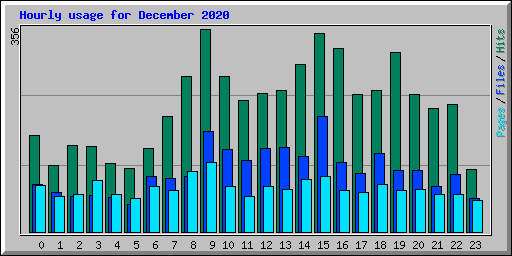 Hourly usage for December 2020