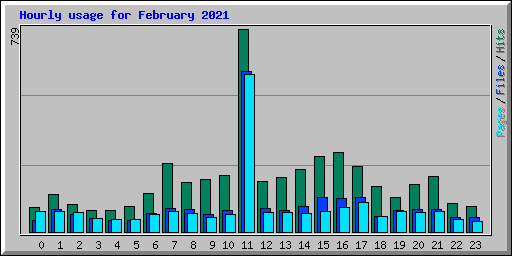Hourly usage for February 2021