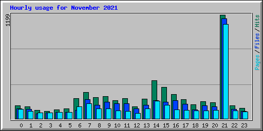 Hourly usage for November 2021