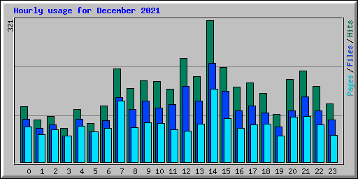 Hourly usage for December 2021