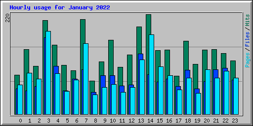 Hourly usage for January 2022