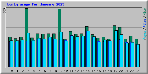 Hourly usage for January 2023