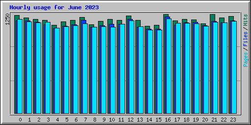 Hourly usage for June 2023