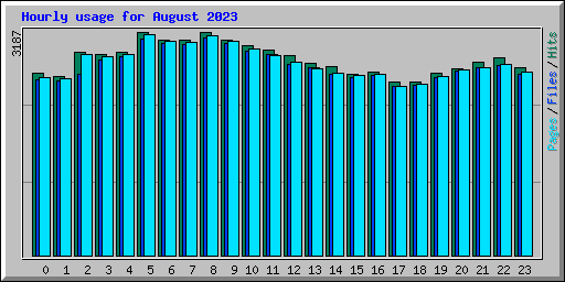 Hourly usage for August 2023