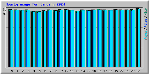 Hourly usage for January 2024