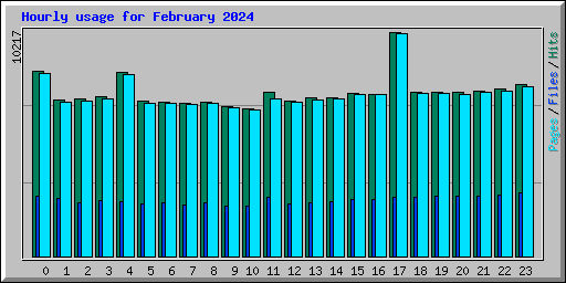 Hourly usage for February 2024