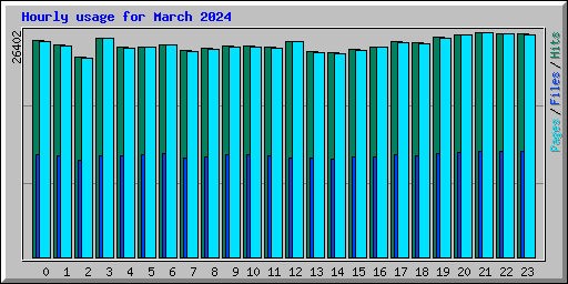 Hourly usage for March 2024