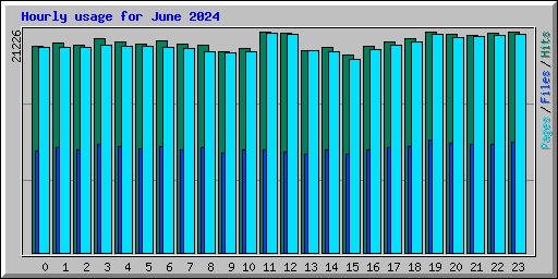 Hourly usage for June 2024