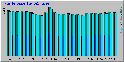 Hourly usage for July 2024