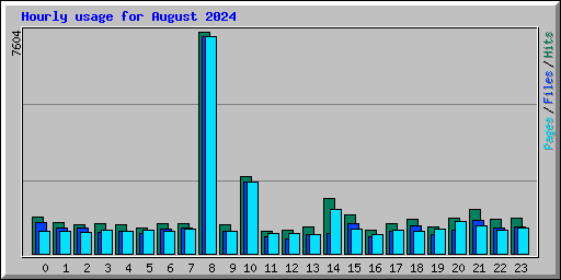 Hourly usage for August 2024