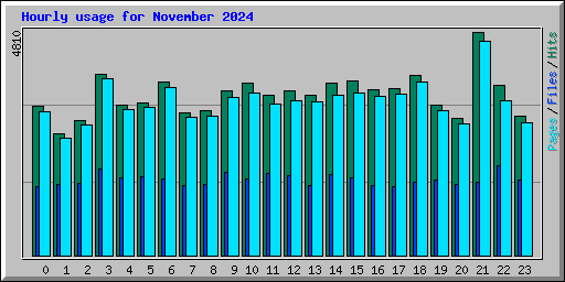 Hourly usage for November 2024