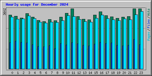 Hourly usage for December 2024
