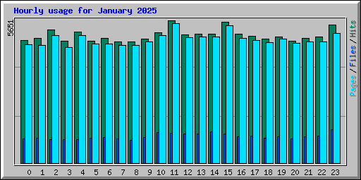 Hourly usage for January 2025