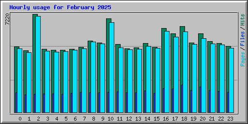 Hourly usage for February 2025