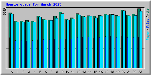 Hourly usage for March 2025