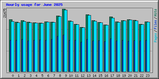 Hourly usage for June 2025