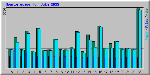 Hourly usage for July 2025
