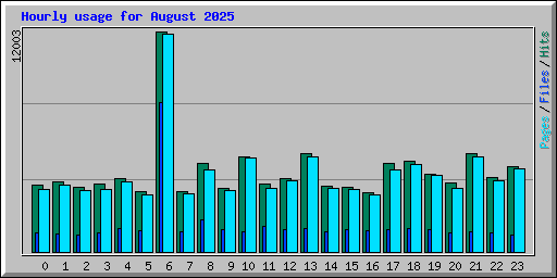 Hourly usage for August 2025